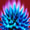 aa